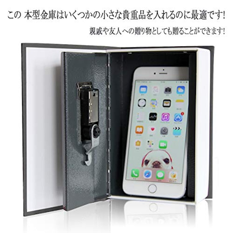 本型金庫 セーフティーボックスロック 2