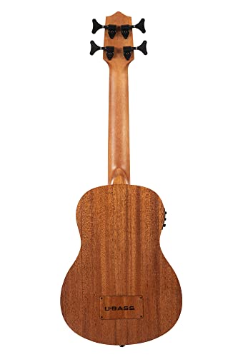Bakithi Kumalo Signature Acoustic-Electric 3
