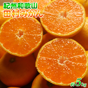 田村みかん 2