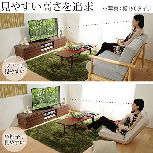 背面収納テレビ台 ステラ 5
