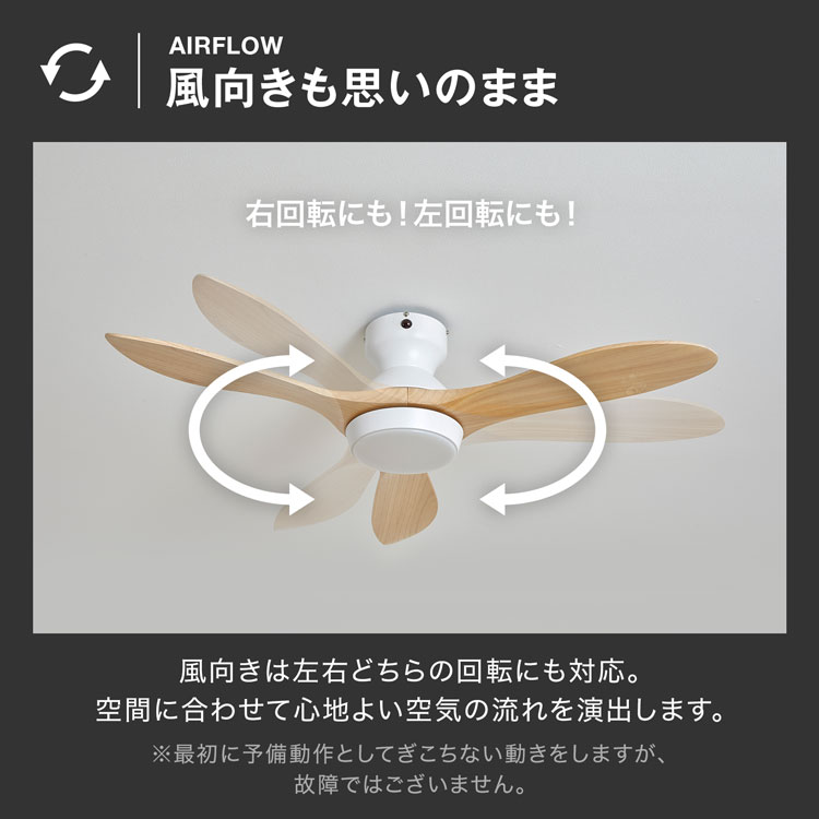 シーリングファンライト 6