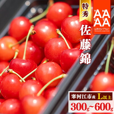 佐藤錦 特秀品 L以上 1