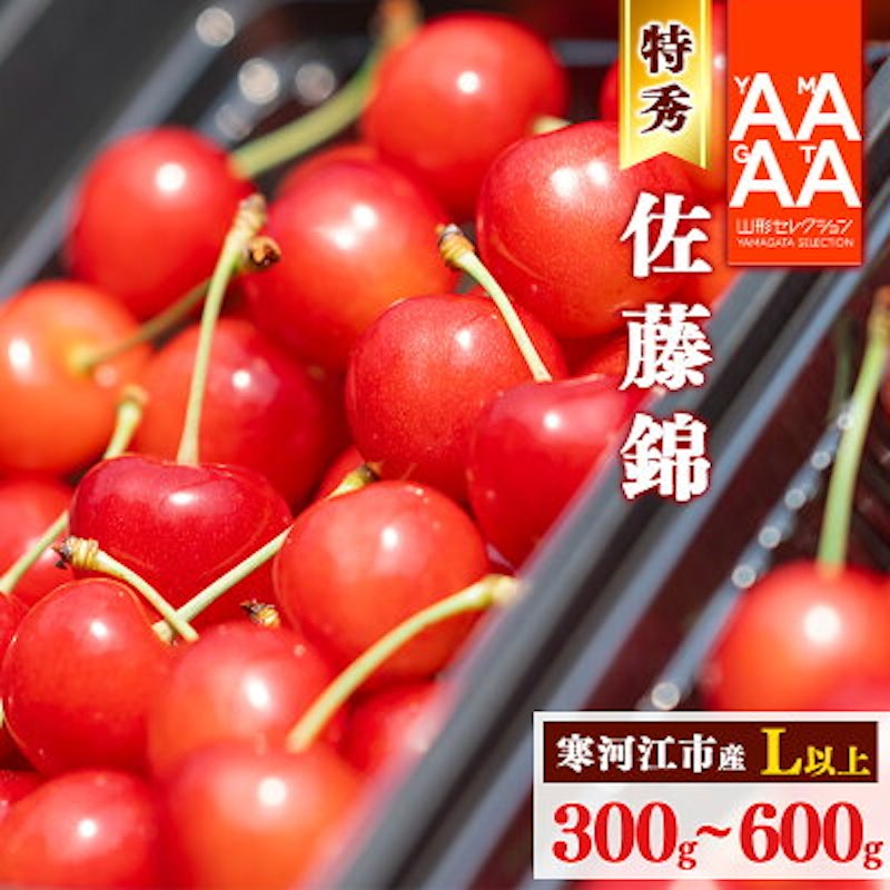 佐藤錦 特秀品 L以上 1