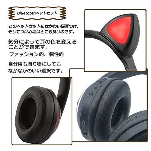 猫耳ヘッドセット 3