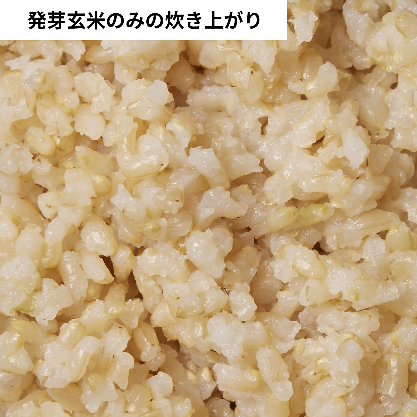 半生発芽玄米 味自慢 6
