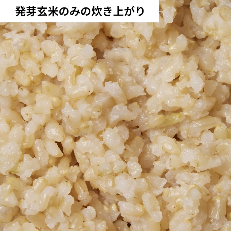 半生発芽玄米 味自慢 6