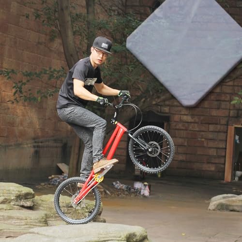 20インチDIAMONDBACKフリースタイルバイク自転車BMX街乗り通勤車通学車 