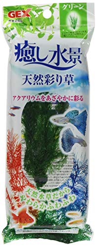 癒し水景 天然彩り草 1