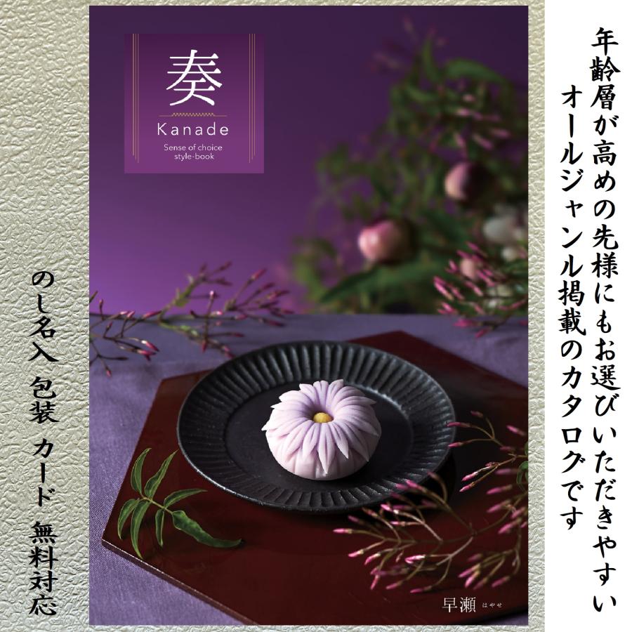 奏 早瀬コース 1