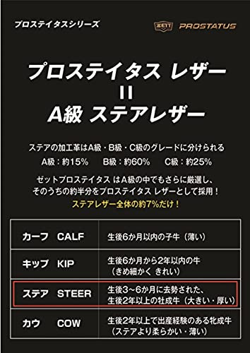 硬式キャッチャーミット プロステイタス 6