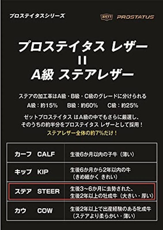 硬式キャッチャーミット プロステイタス 6