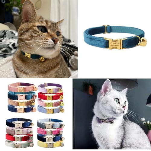 猫用首輪 2