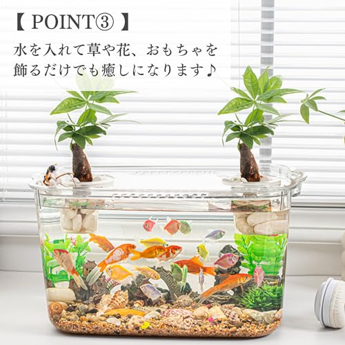 テトラ ガラス リビングキューブ 20 オールインワン水槽 容量 約20L