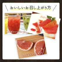 グレープフルーツ ルビー 4
