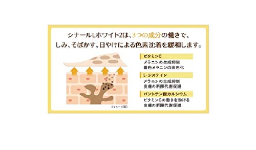 シナールＬホワイト2 6