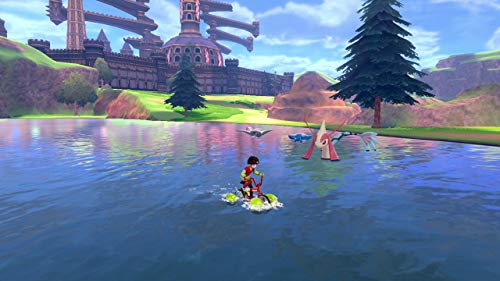 ポケットモンスター シールド 2