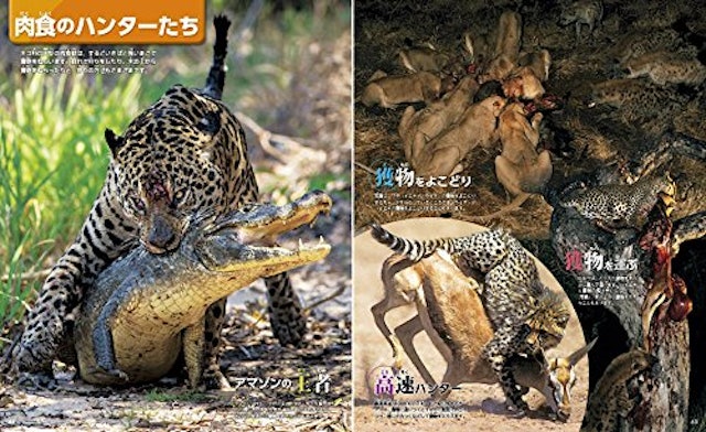 動物 図鑑のおすすめ人気ランキング10選 Mybest 動物 図鑑のおすすめ人気ランキング10選 Mybest