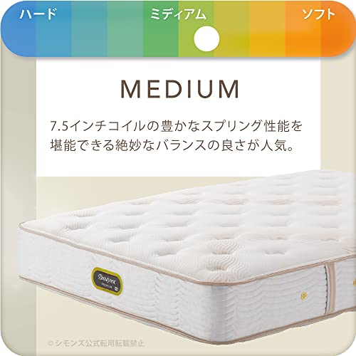 シモンズ6.5インチゴールデンバリュー2 クイーン マットレス シモンズ