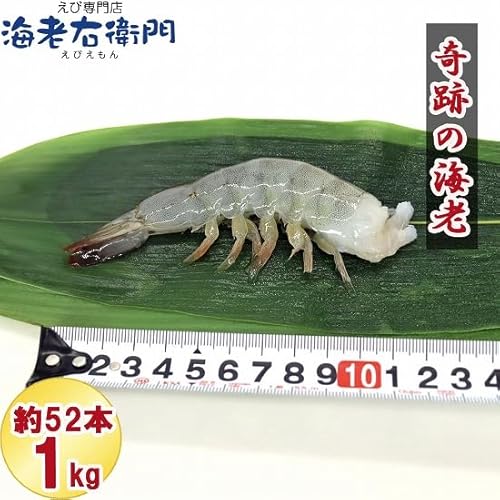 奇跡の海老 6