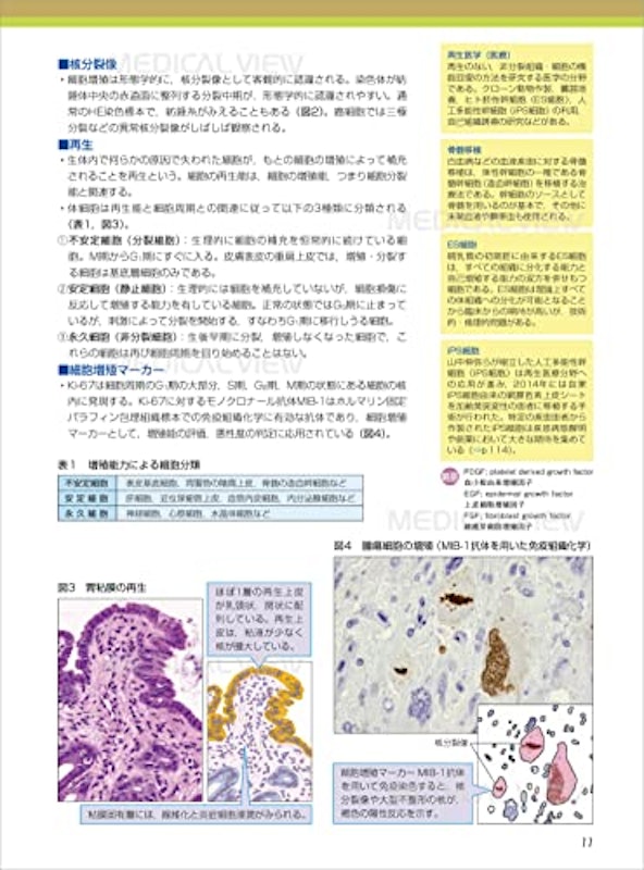 カラーイラストで学ぶ 集中講義 生化学 改訂2版 3