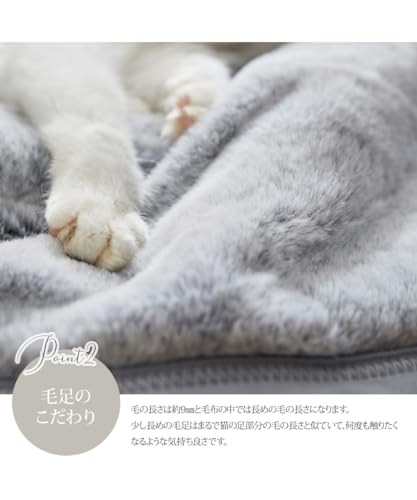 まるで猫！のようなモフモフブランケッㇳ 5
