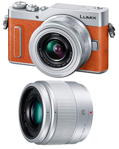 特別価格！Panasonic LUMIX G ピンク　ダブルズームレンズキット