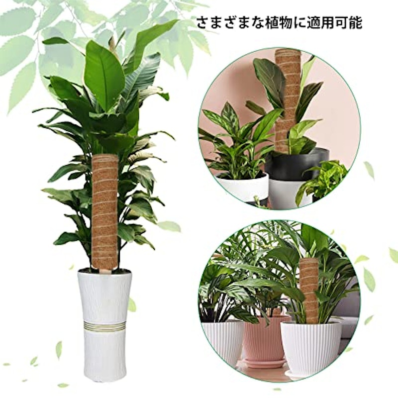 植物支柱 7