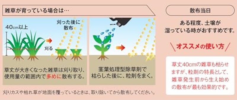 トップF 粒剤 3