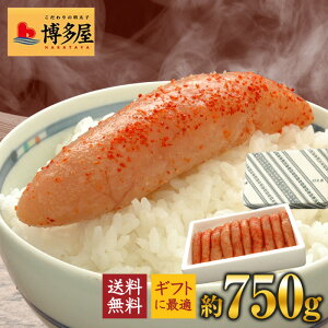 小真子 1