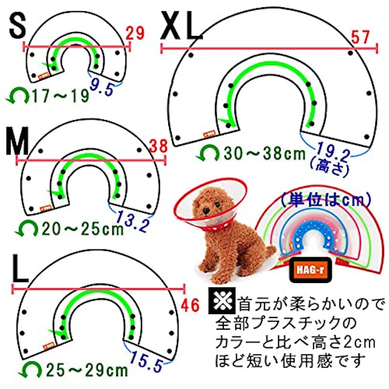 エリザベスカラー 2