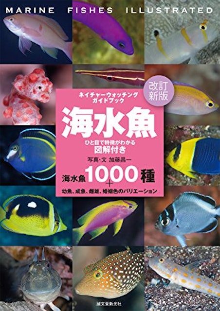 魚図鑑のおすすめ人気ランキング15選 Mybest 魚図鑑のおすすめ人気ランキング15選 Mybest