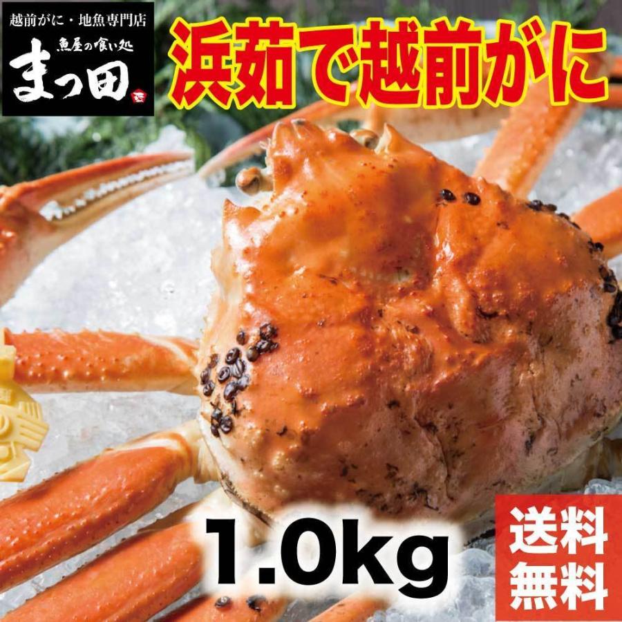 浜茹で越前がに 1