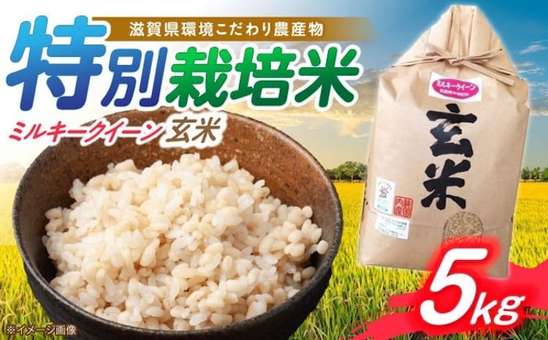 滋賀県産 低農薬栽培 ミルキークイーン 玄米 1