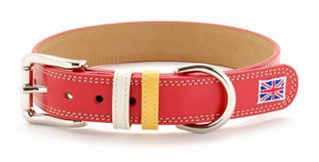 22年 大型犬用首輪のおすすめ人気ランキング11選 Mybest