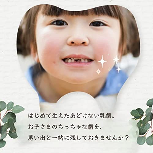 乳歯ケース ポケットlight 3