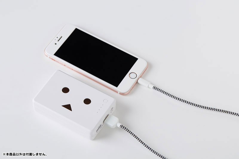 Power Plus 10050mAh DANBOARD version モバイルバッテリー 4