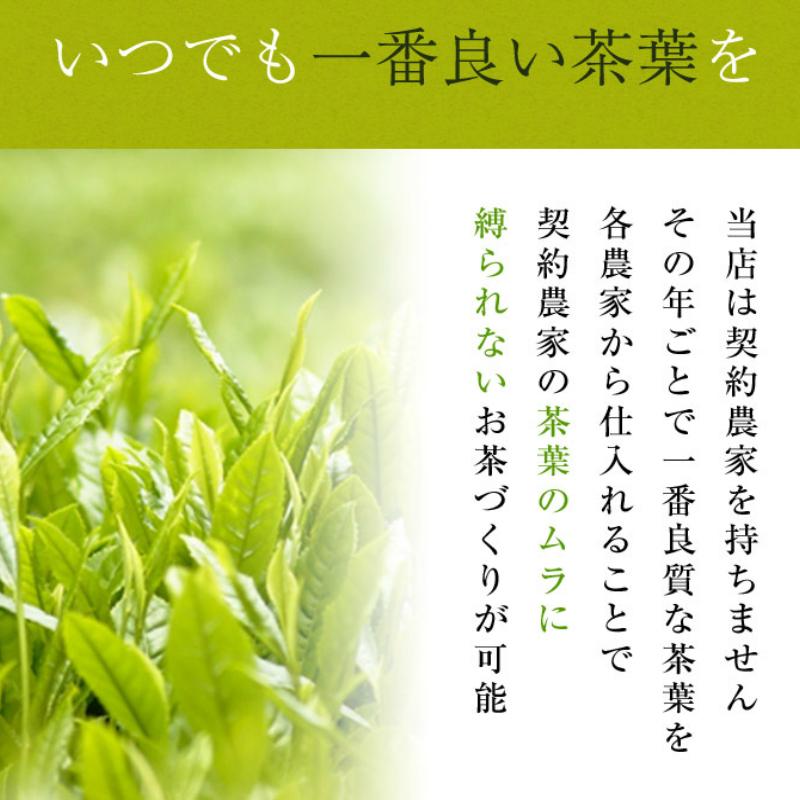知覧茶 有機栽培茶 梅 10