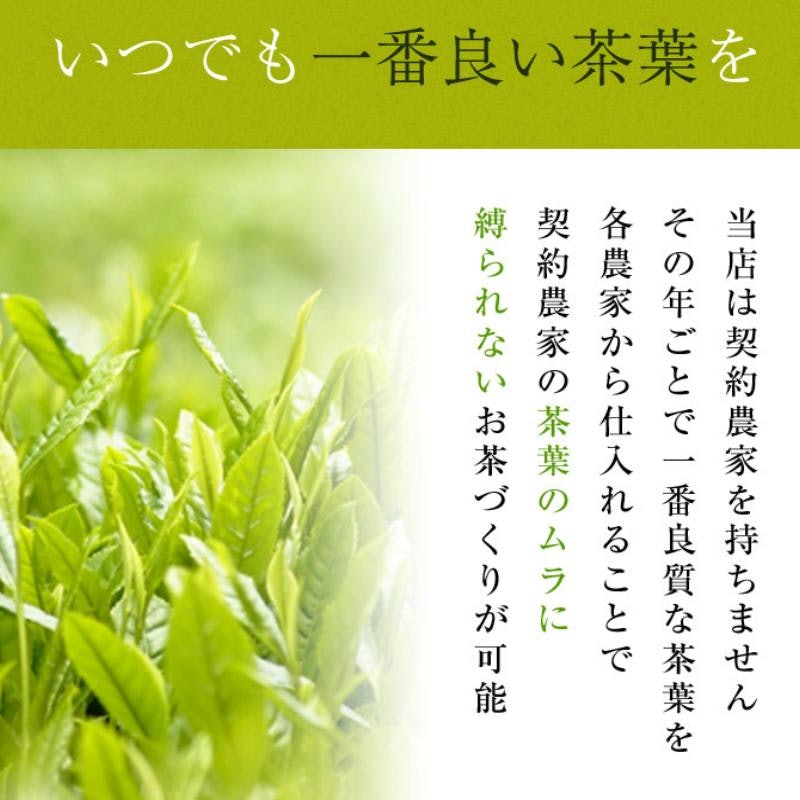 知覧茶 有機栽培茶 梅 10