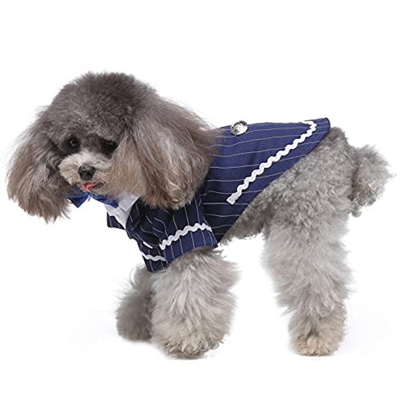 犬用タキシード 5