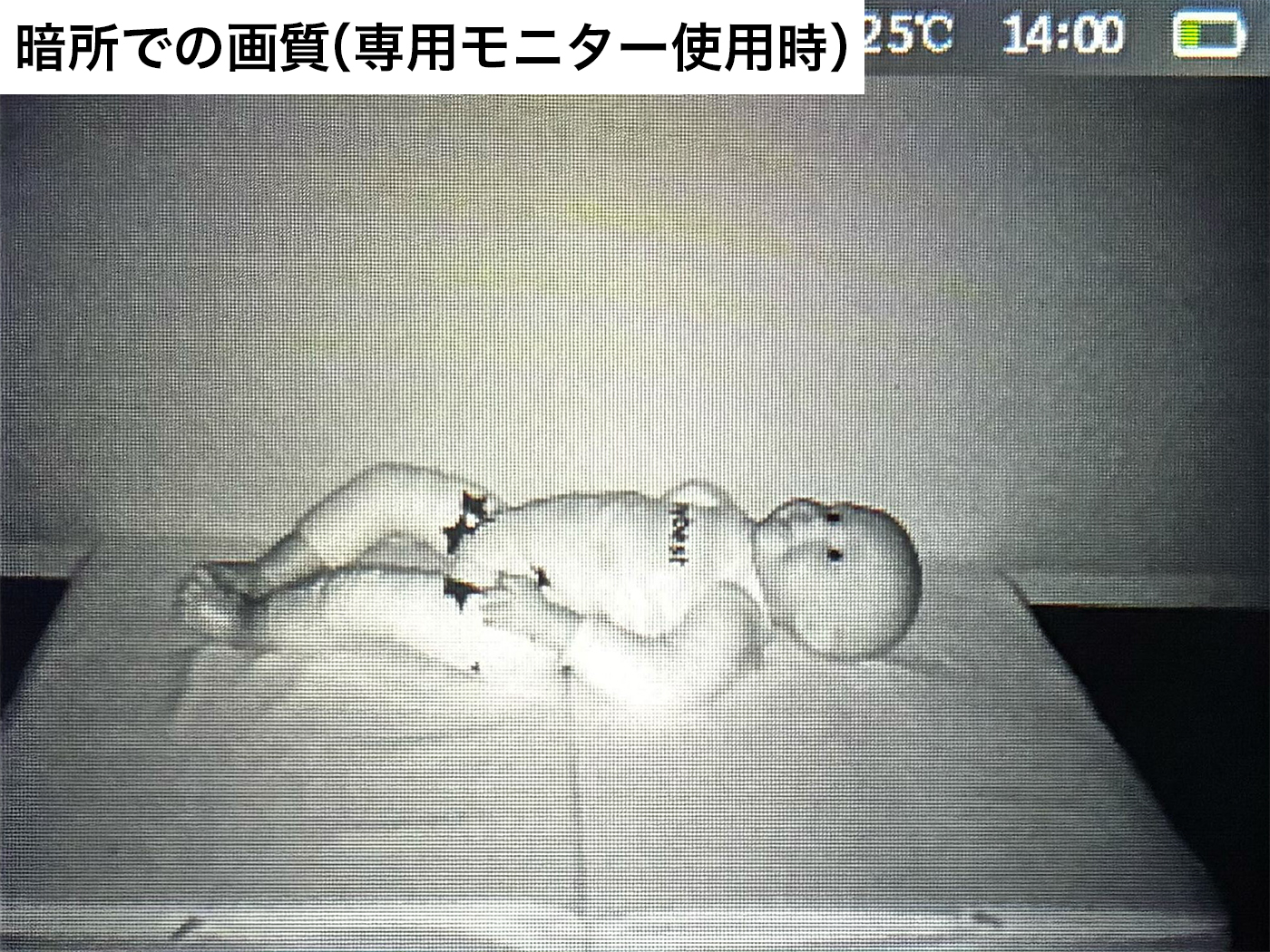mamocchi 12