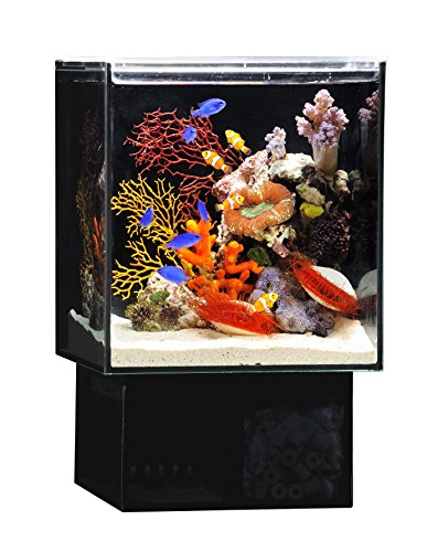 期間限定特別価格 全国配送対応 オーバーフロー水槽 60 横 55 奥 50 高 Cm C 1702 海水魚 サンゴ 生体 Shipsctc Org