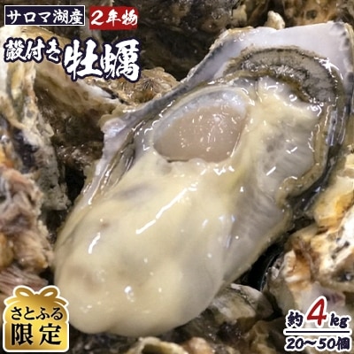 サロマ湖産殻付き2年物牡蠣 1