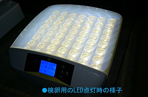 marum マイコン式鳥類専用自動転卵式 孵化器 2