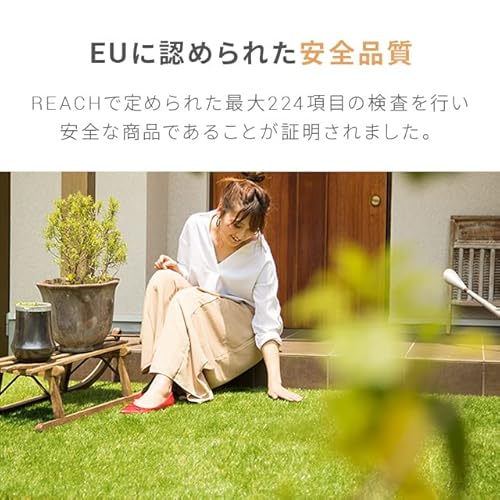 リアル人工芝 6