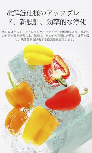 自動野菜洗浄機 3