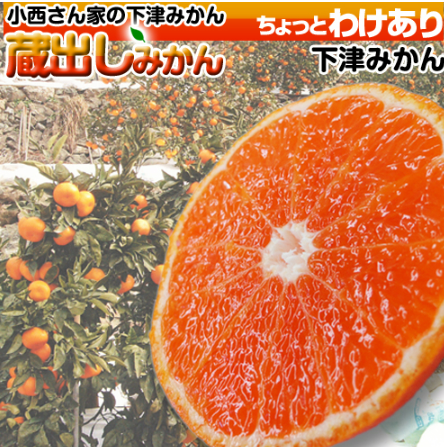 小西さん家の 訳あり 蔵出しミカン 1