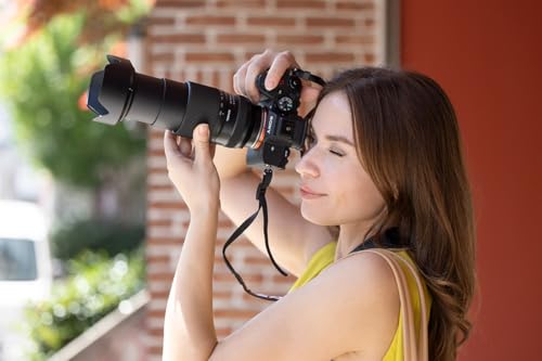 28-300mm F/4-7.1 Di III VC VXD 2