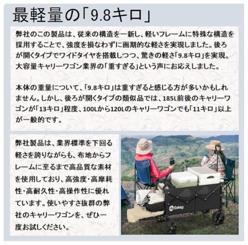 後ろ開け キャリーワゴン 5