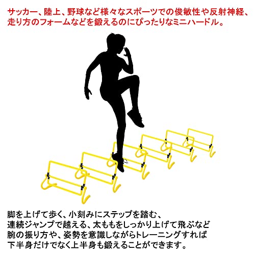 トレーニングラダー 3