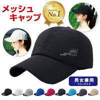 メッシュキャップ 1